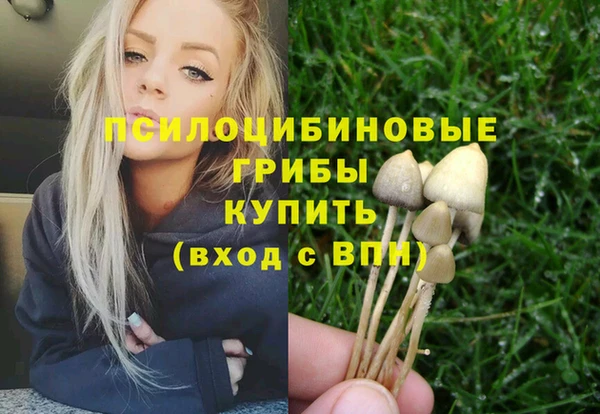 хмурый Няндома