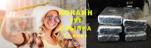 хмурый Няндома
