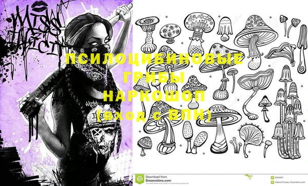 ГАЛЛЮЦИНОГЕННЫЕ ГРИБЫ Нягань