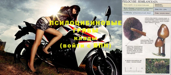 хмурый Няндома