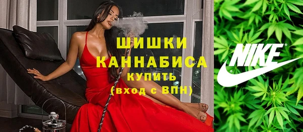 хмурый Няндома