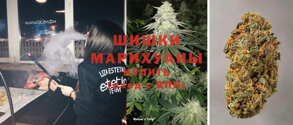 хмурый Няндома