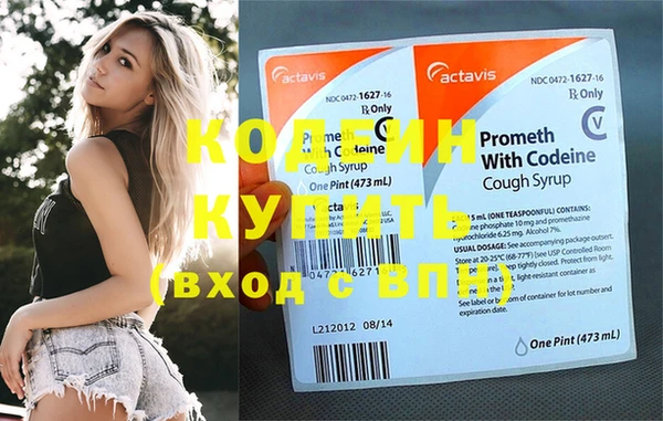 хмурый Няндома